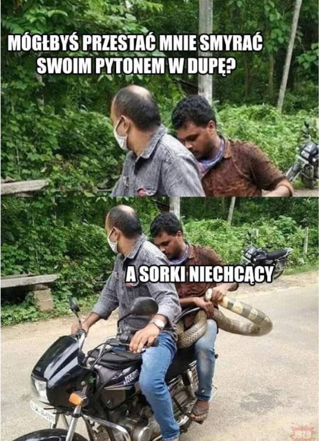 80d8768b-1265-441e-a814-8427677284f6