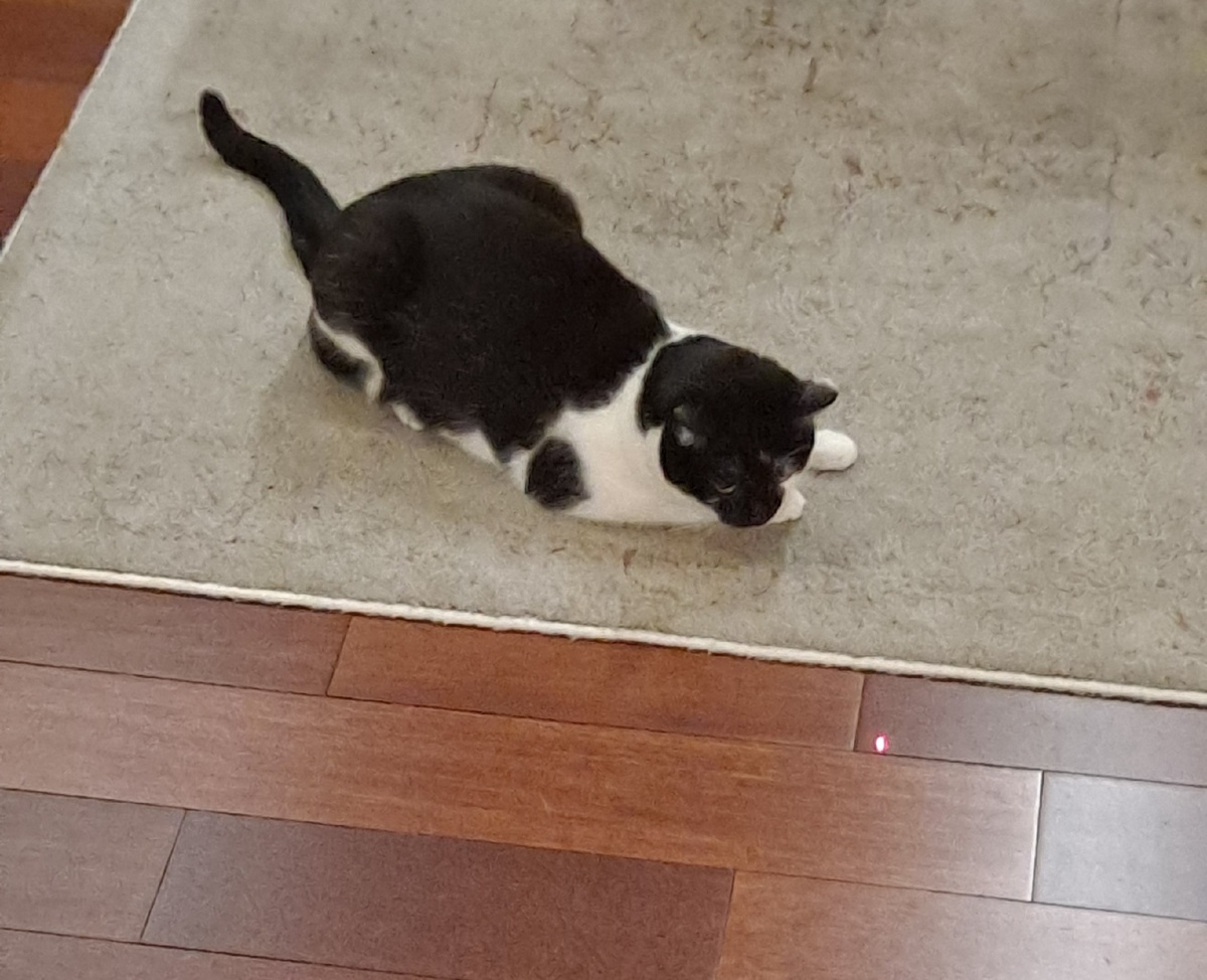 318d3283-ffbe-411f-8496-509ed63e1563