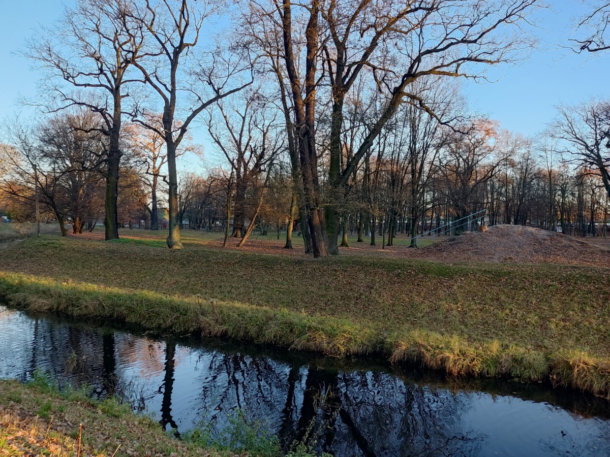 25121929-c482-46a3-a6b8-2cd30f7b42a5