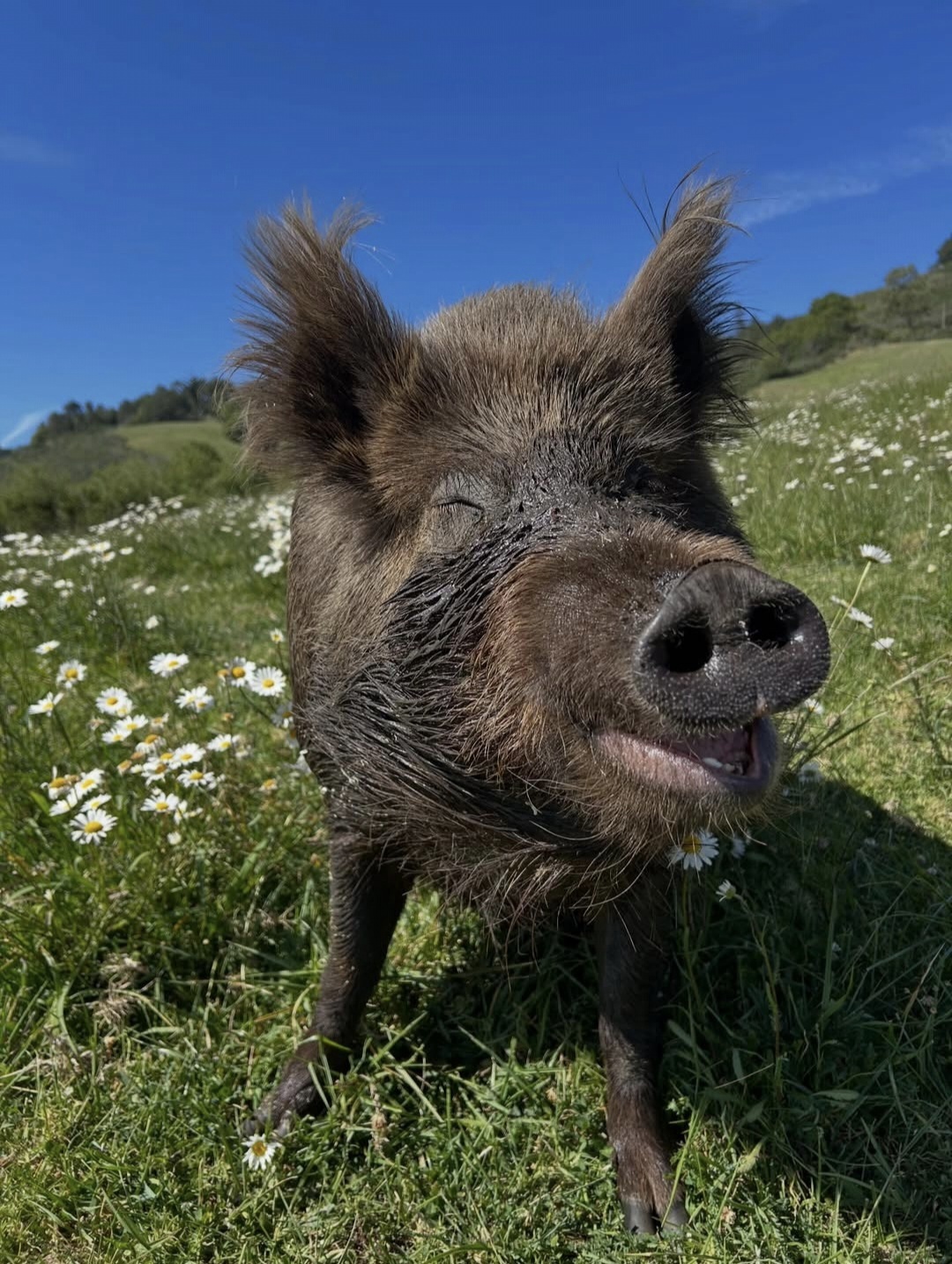 d2447562-e53b-48d6-a4b6-ce9623eac94d