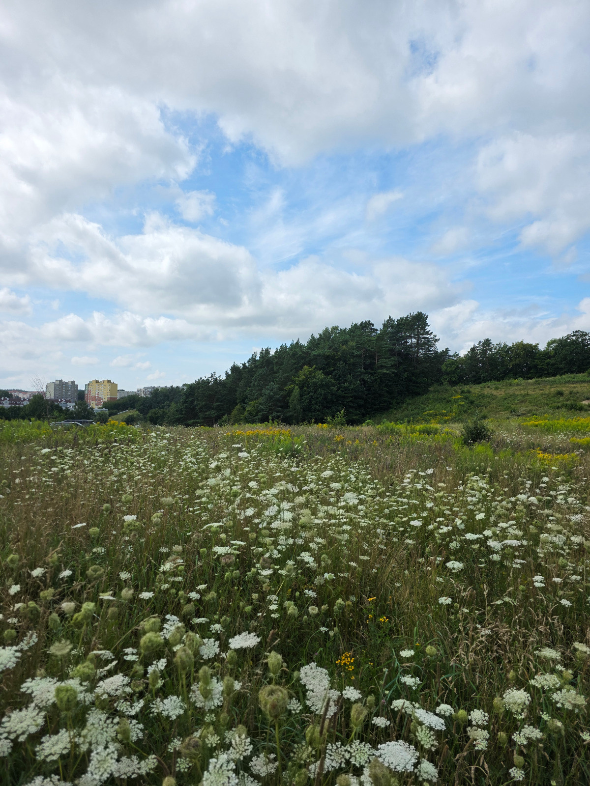 aab31e15-76fd-4a50-b1f0-3232eb9eac04