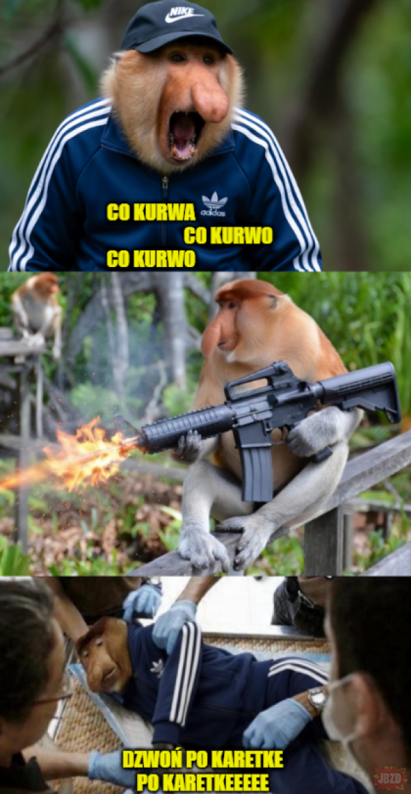 ad2310a4-4db2-4ce0-b1ba-0819a15dde33