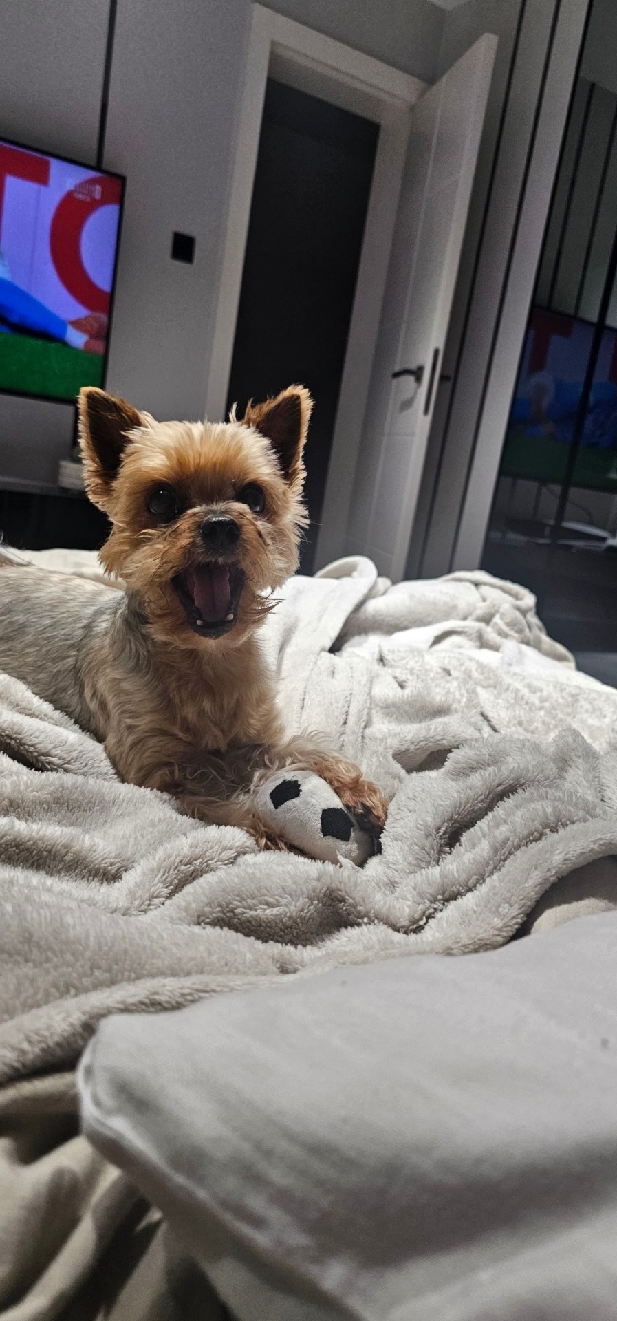 ab7e0d52-b1ed-41d4-bf02-78eb554b2868