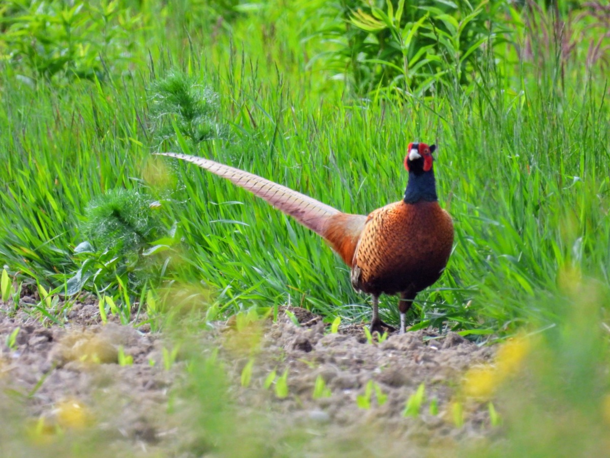 379aabaf-1e01-465a-b46b-6ba5b51a5eb9