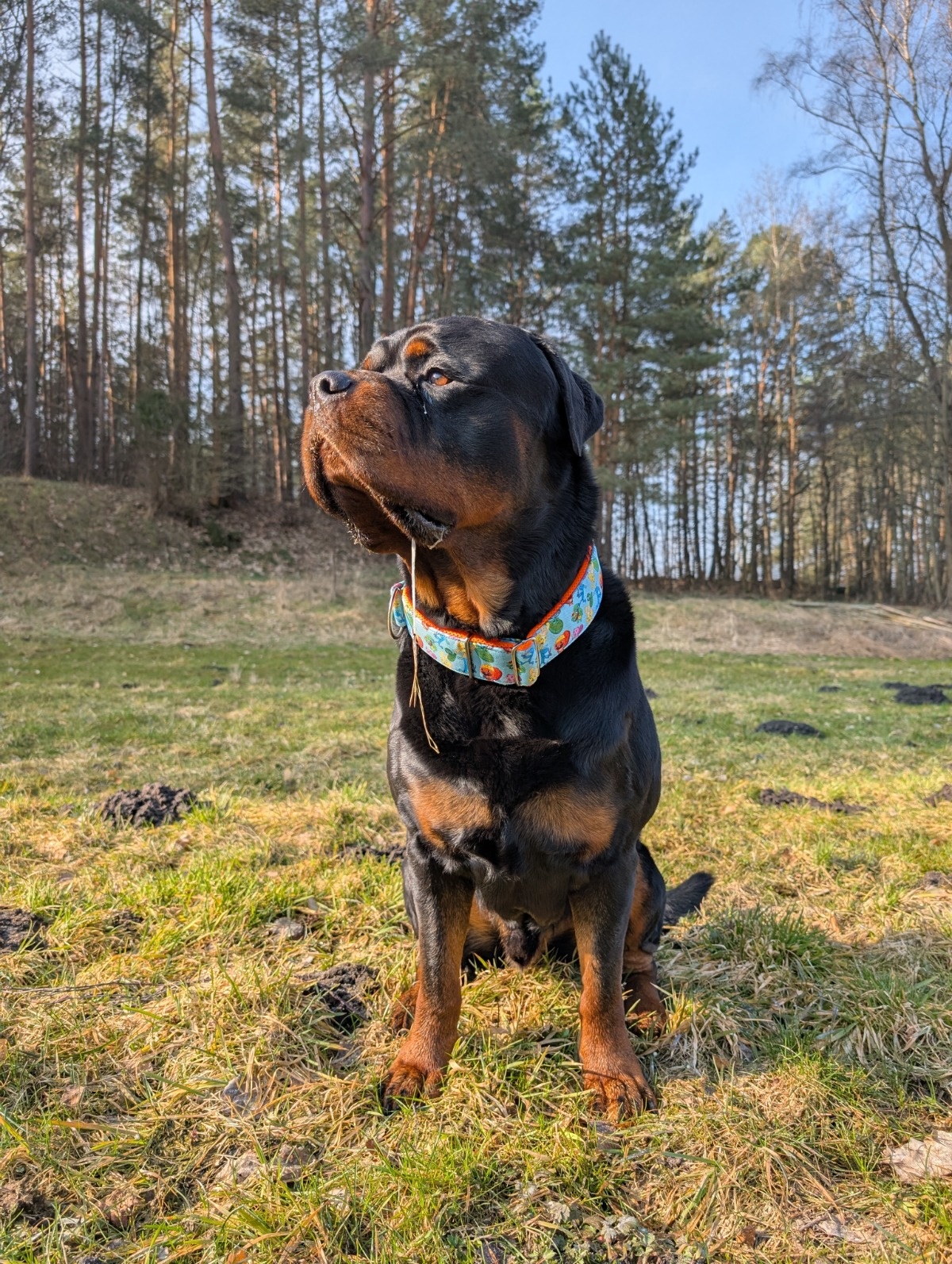 730309ac-9664-4d0e-b2b4-8111c3595ffd