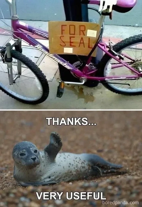 81913ceb-df2a-44a0-98ed-0adcdb74d134