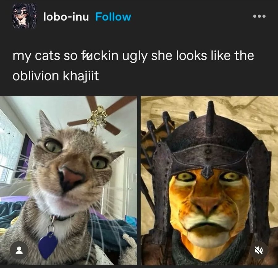 ca872720-1bd8-453d-8f60-699a98fde603