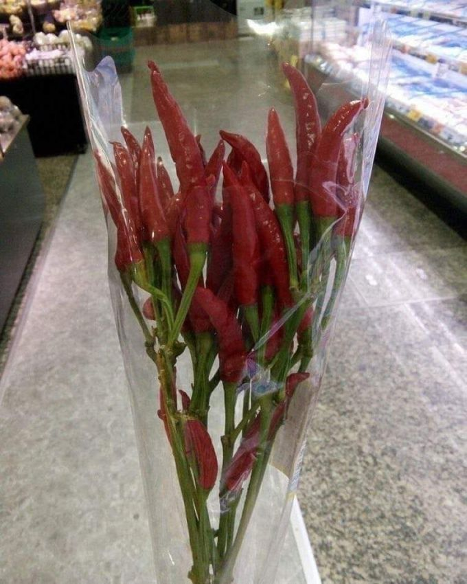 b4ec29c5-ec35-41e2-9936-51221015cd7e