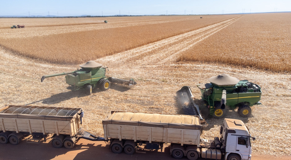 Jak duże są gospodarstwa rolne w krajach Mercosur? - Fakty