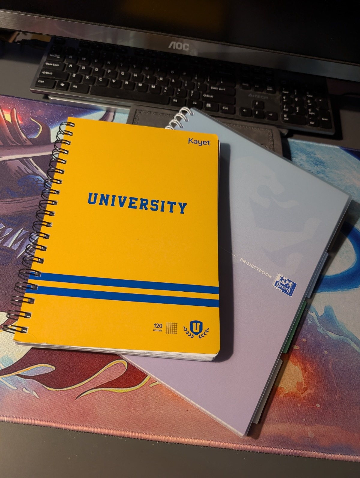 8b124f45-68a3-4fcd-94ca-b2ca02030669