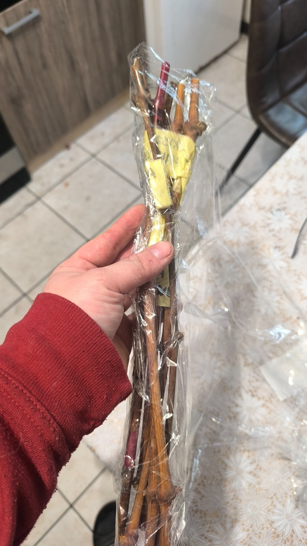 487a877d-c7a5-46ff-a78e-fc398e5590ee