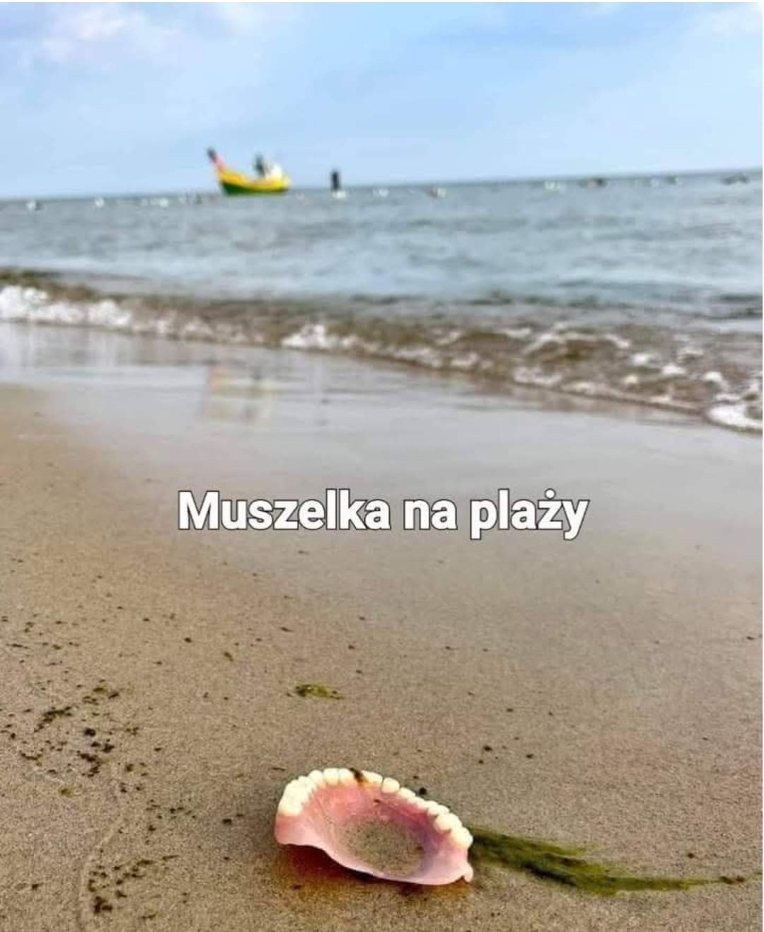 afd522ac-ae38-4d12-b4bc-b1514962e222