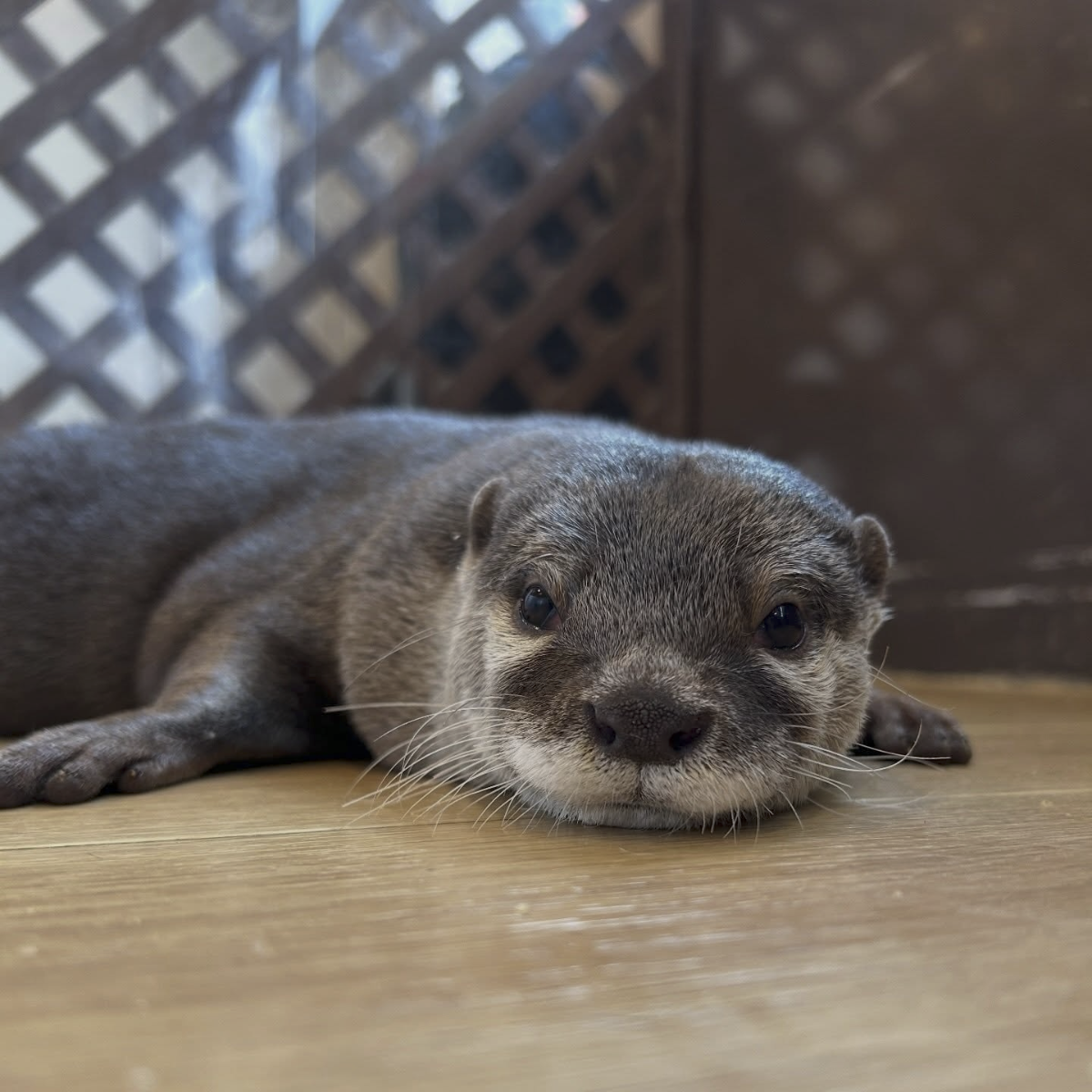 027bb923-8e22-4ba8-be44-1c003eb1a977