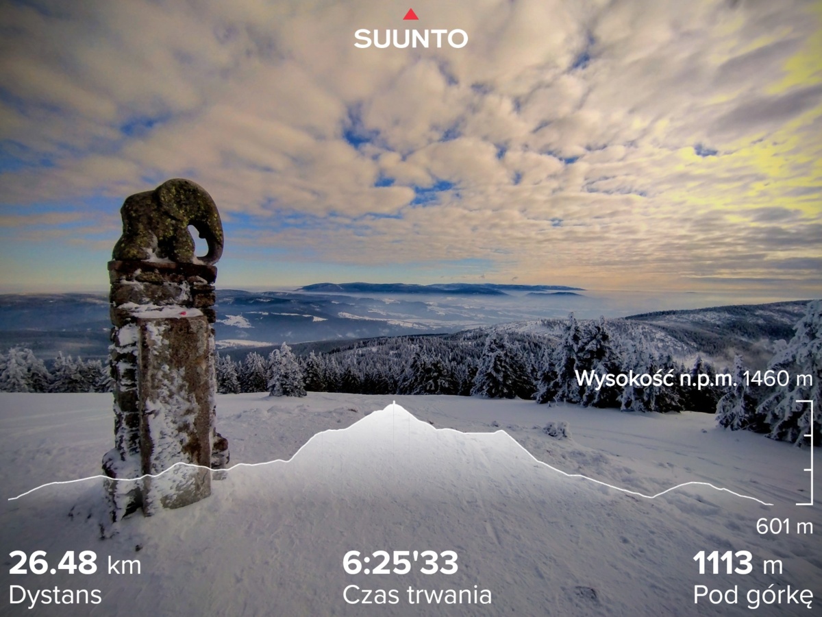 fd826a86-bcd6-40a9-94e6-fbd991942a16