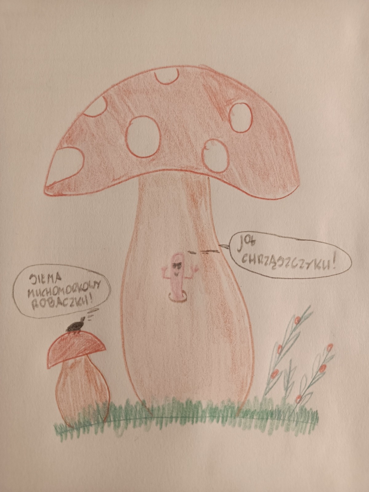 1804633a-3358-4f26-b42f-6422c4d40f20