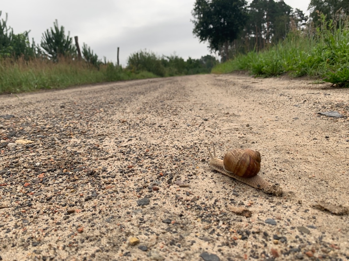 7505d909-e3df-4d25-b1e6-e5271ad7e067