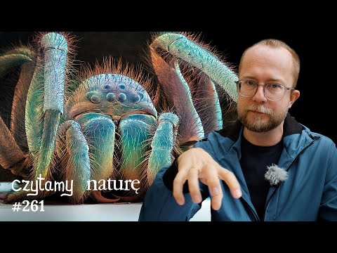 Alkohol, marihuana i ciąża - Włochaty robot-pająk - Triumf wojenny w neolicie | Czytamy naturę 261
