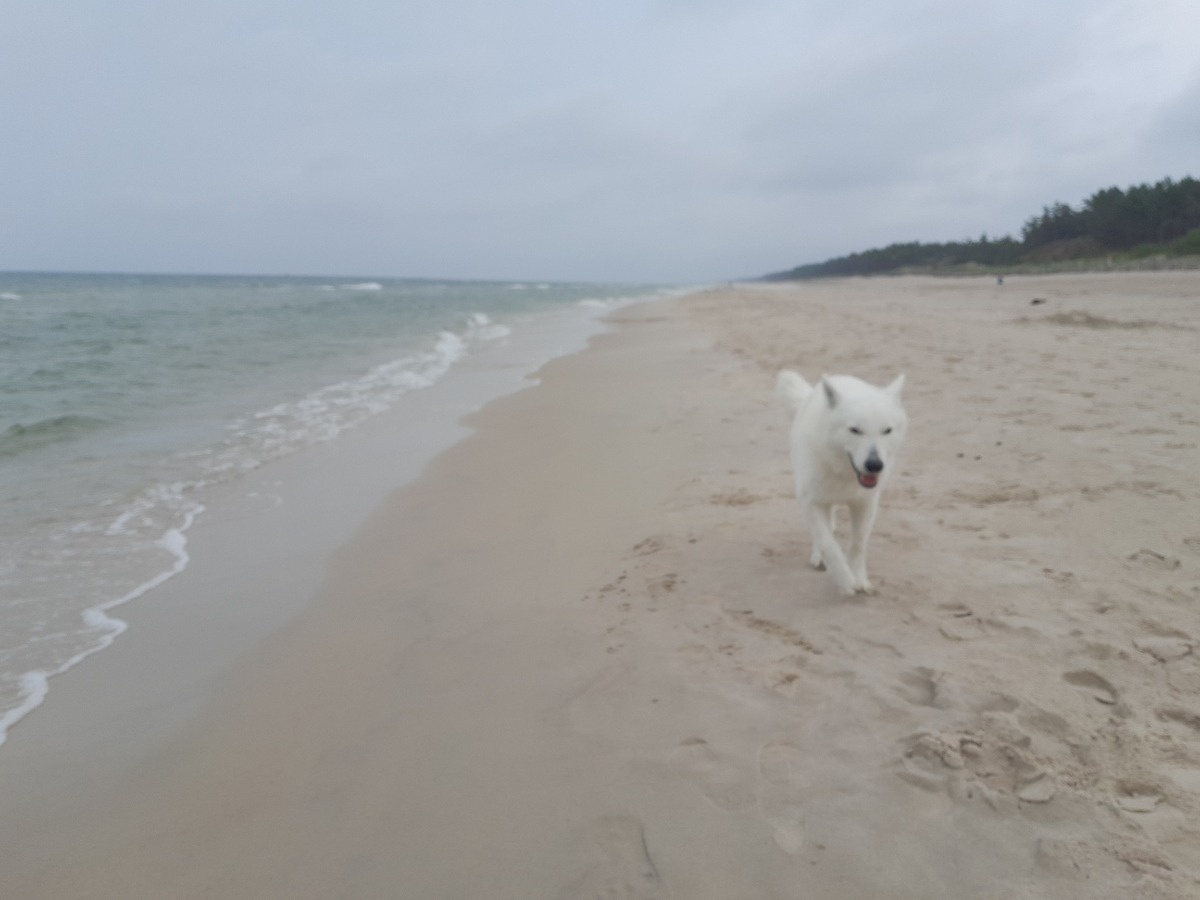 c602c4e0-240f-4282-b645-c29f610c68d0