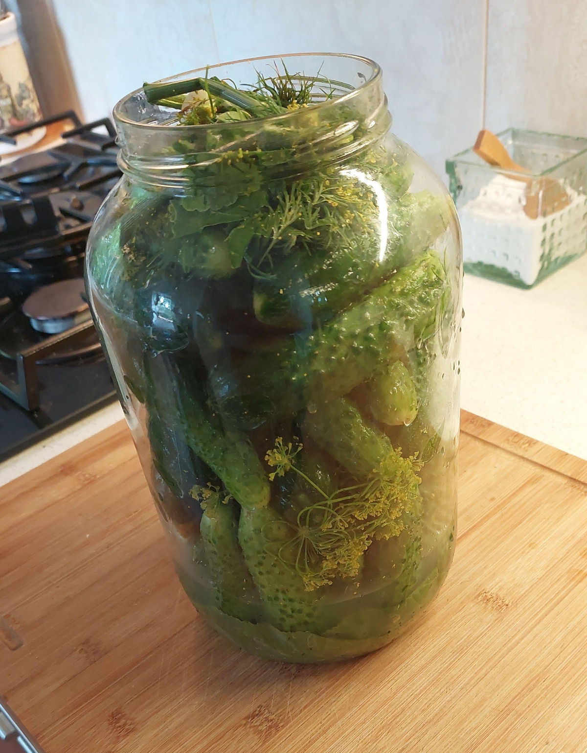 d1d8833e-113d-438b-9a7a-c1898d099710