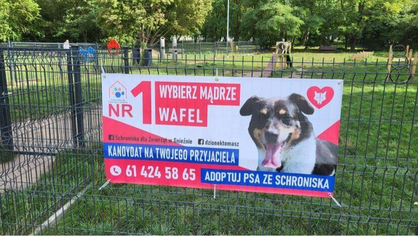 55fac4a5-4edd-427b-be40-c7177c67ded4