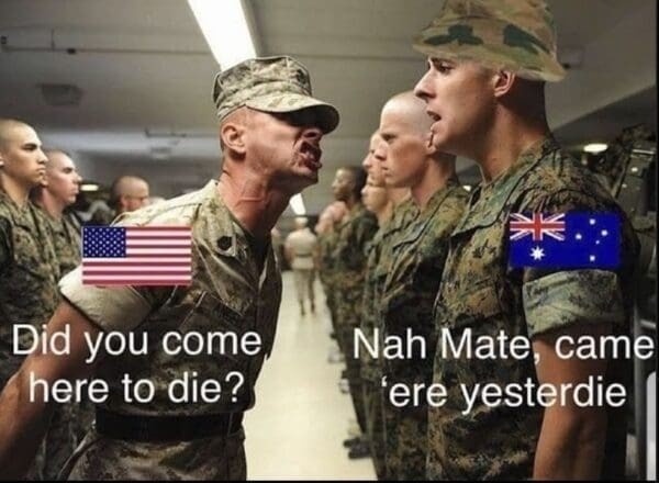 d66c9847-b807-4940-b676-5b8a8bb91e31