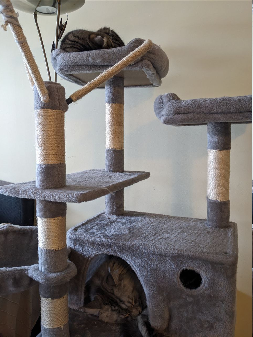 9b48713d-bed9-4f47-98ef-be9da11dc61f