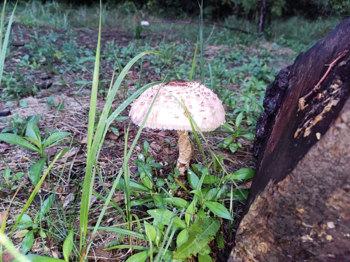 86b20e59-92e3-4877-9305-d04d368fc960