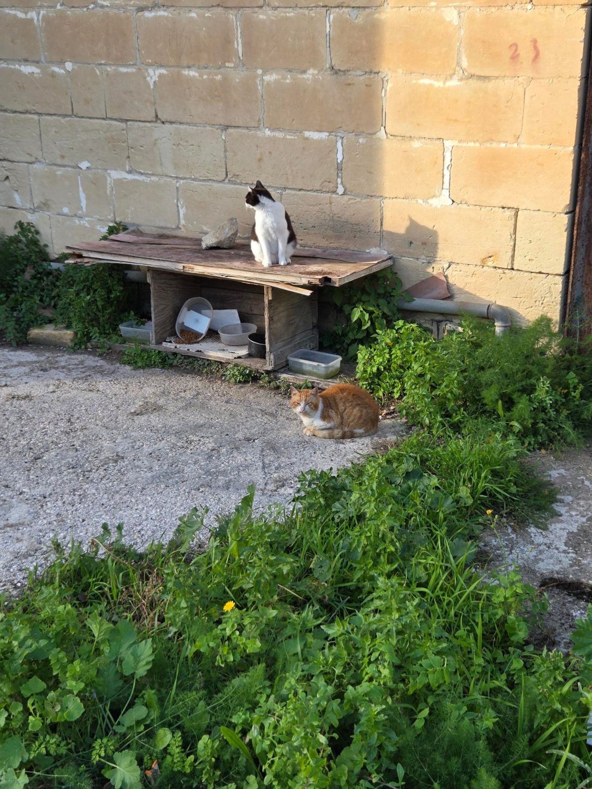 20ecf6a7-7152-46cf-a36d-c165c7a07e12