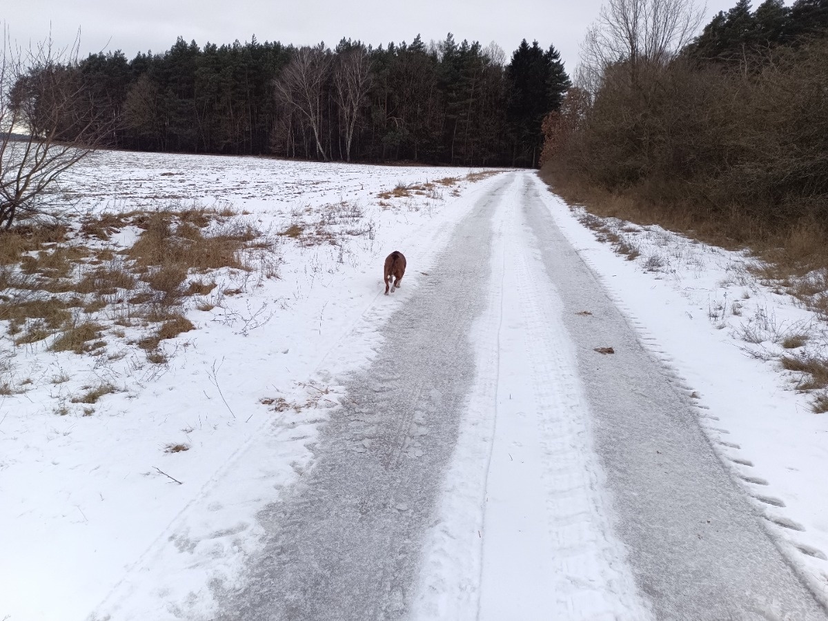 b8e650c7-d6fa-445c-962e-048133c91d4c