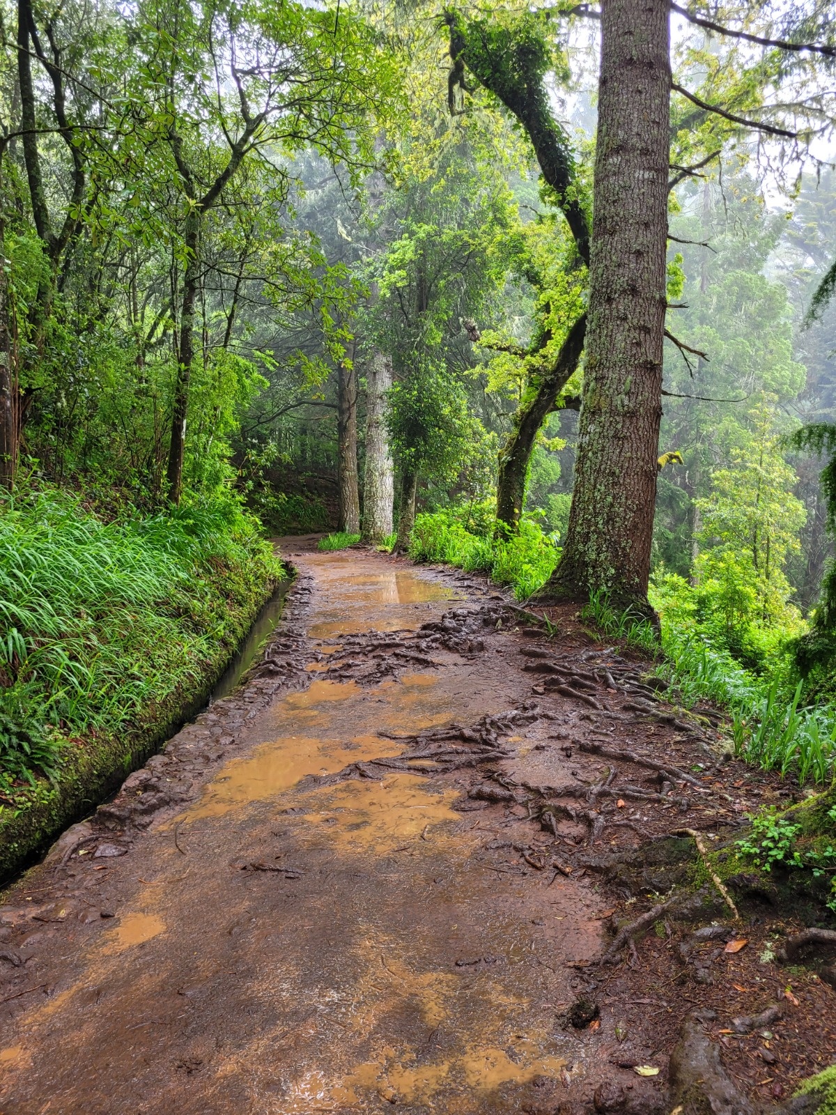 09e9e7ac-54d2-4fc8-8433-b27654594dbb