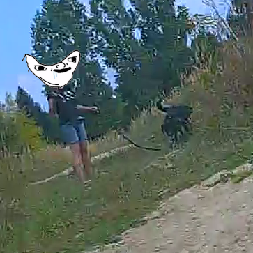 1df77a99-284e-470d-b22d-e2d520a752f8