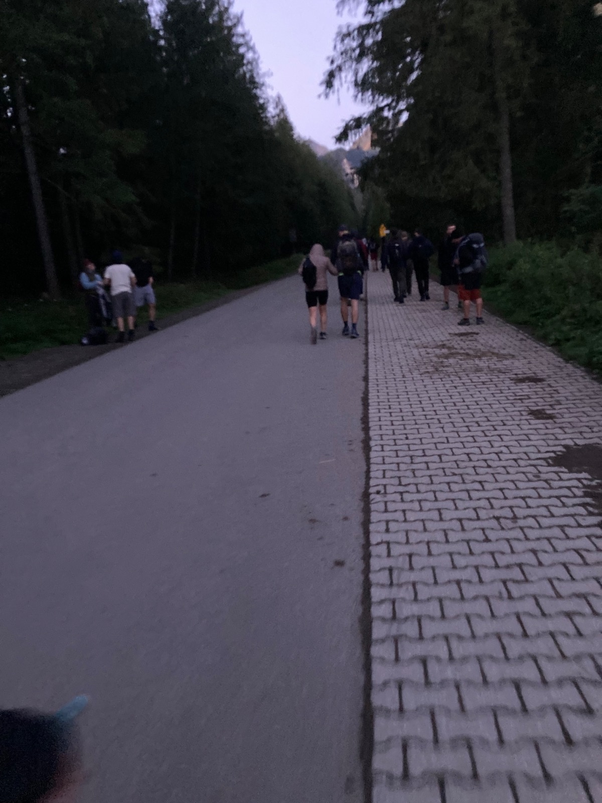 99f05529-fa48-4fea-81c0-46898d3b6f45