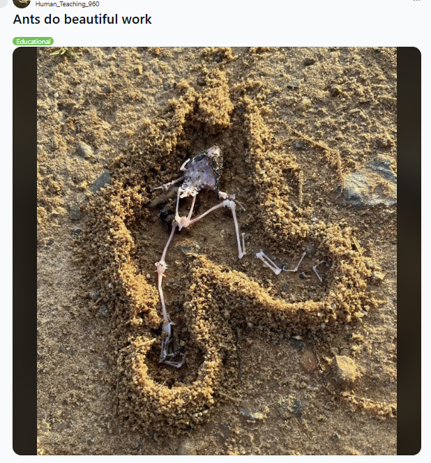 0d29bca6-ac10-4fd0-b3a3-c40323a2fc4d