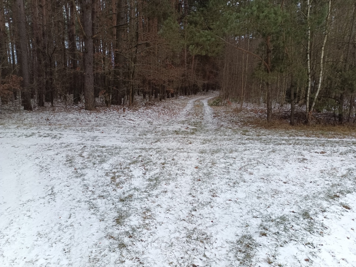 6761c051-8a89-439c-ad4f-0144ee946de4