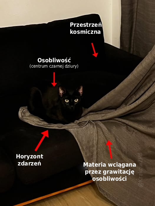 6419fc90-af8a-4483-94ee-e2b295cbc3e8