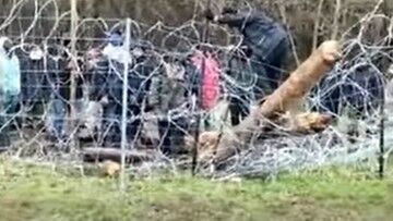 Migranci chcieli sforsować granicę polsko-białoruską. Rzucali kłodami, mieli noże i siekierę