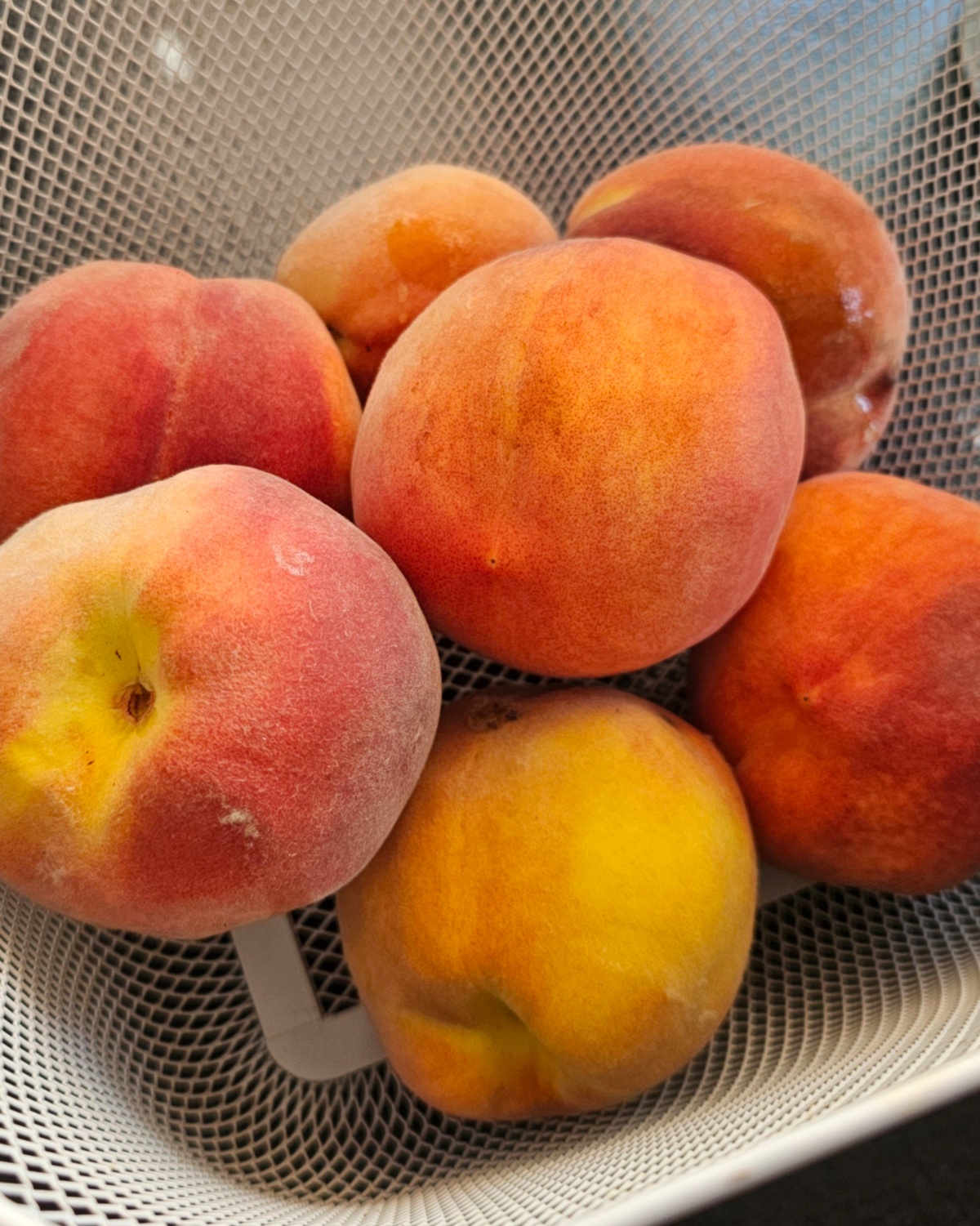 a3e25593-3c5a-439c-83f7-fdbfe0a7151e