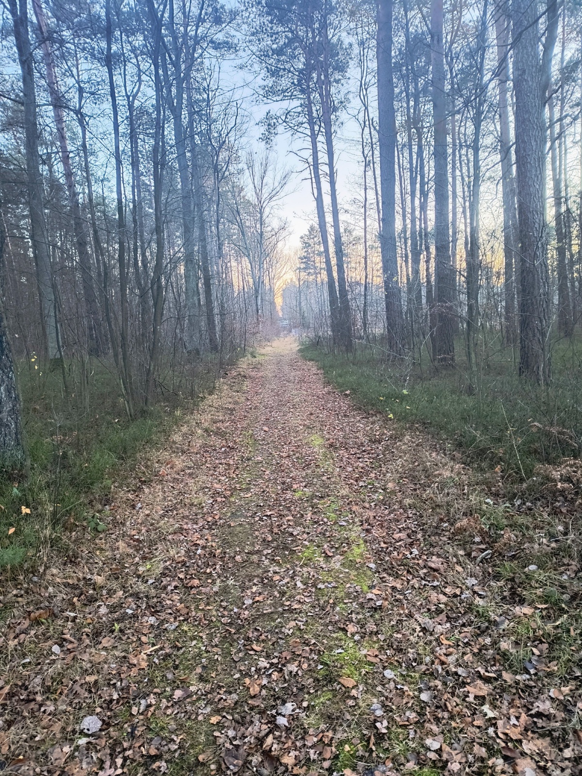 c8b7cc91-cc1b-4ca5-8205-4e5884c13160