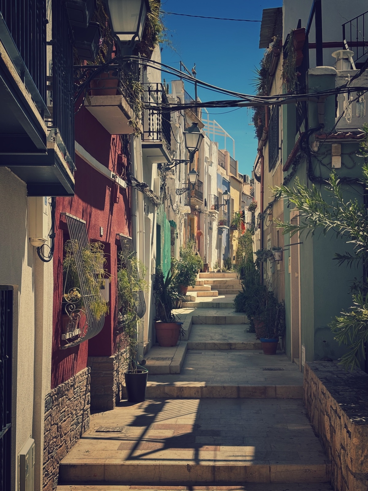 29592c38-d421-4a24-a686-01ed9114dce0