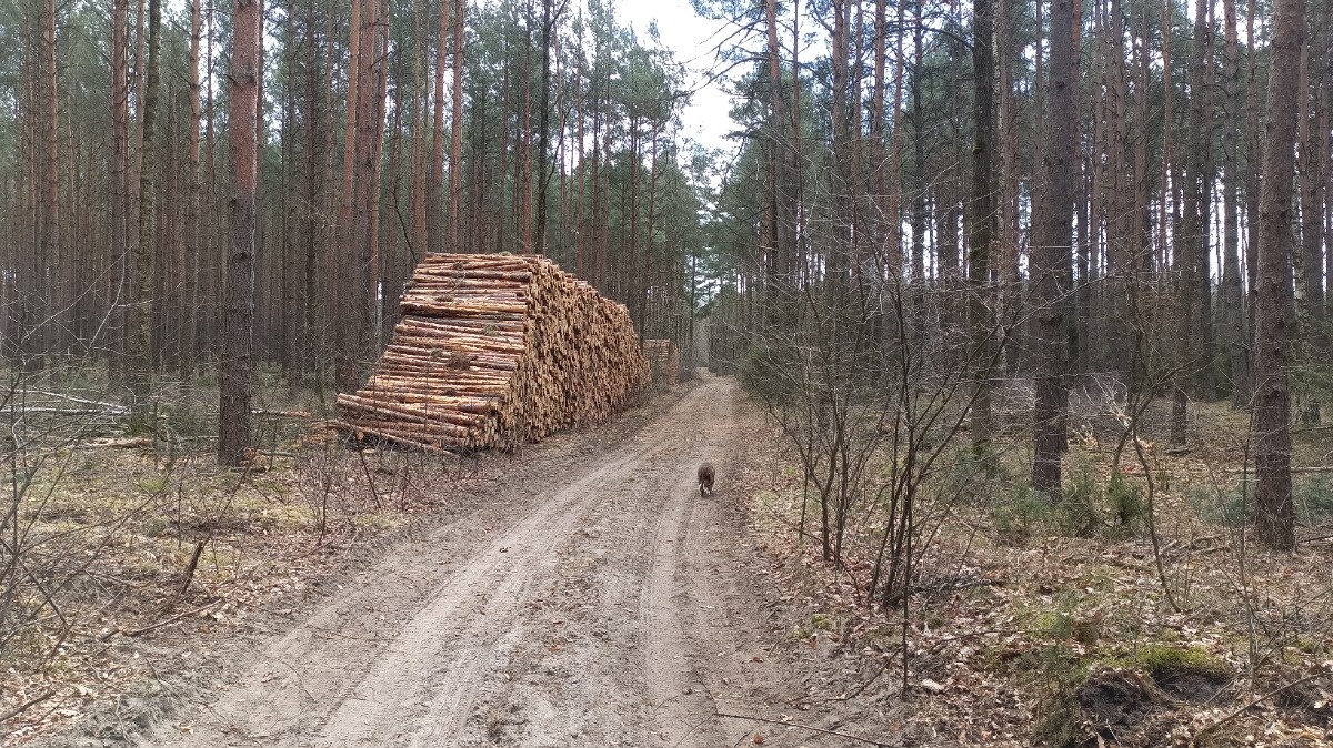 fcf9fa80-71f4-4ce8-89b5-f06f85242962