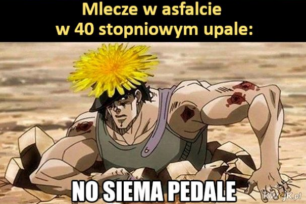 af3beadb-40cc-4b97-bac0-dca2502cca88