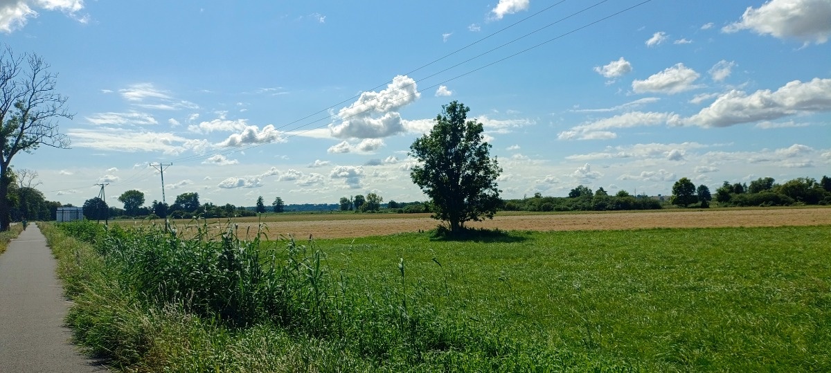 f3606340-5b83-41ad-b6e2-04ed88a415a1