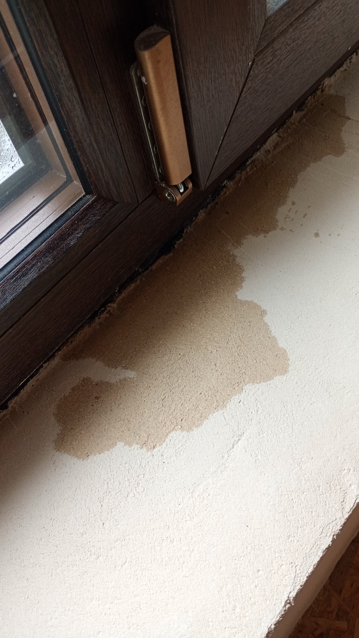 3ac99851-7716-44dc-a986-f0a7b2963de4