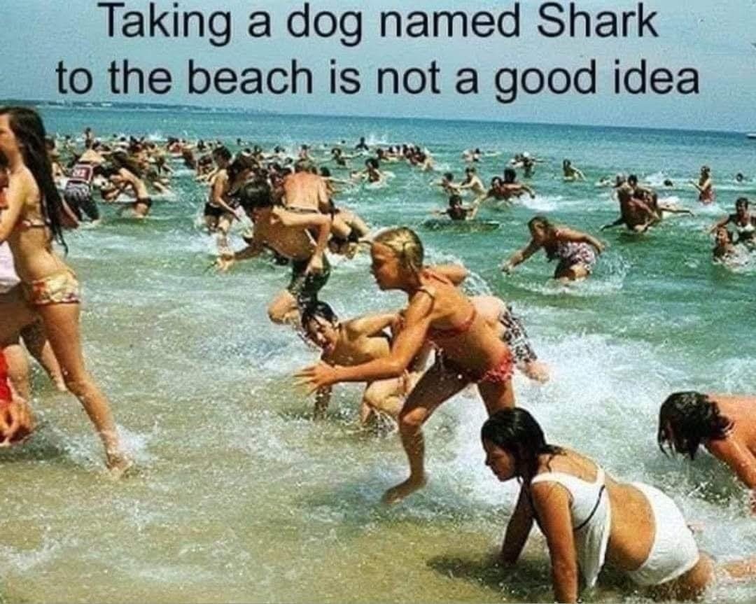 bdbddf9f-34be-4363-86de-8902d531f584