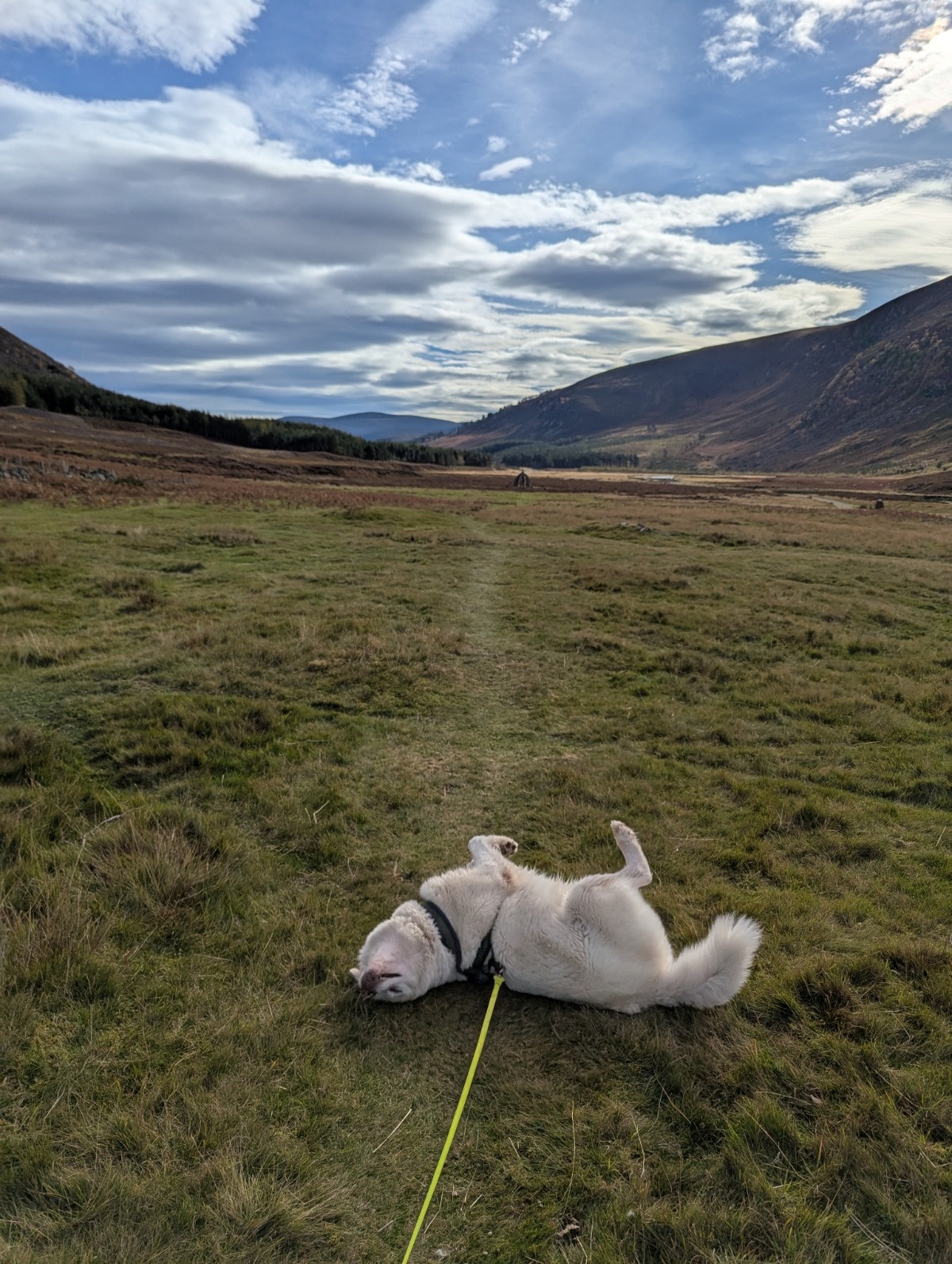 aceb8378-3b6a-41f0-b4ac-3968bff3611e