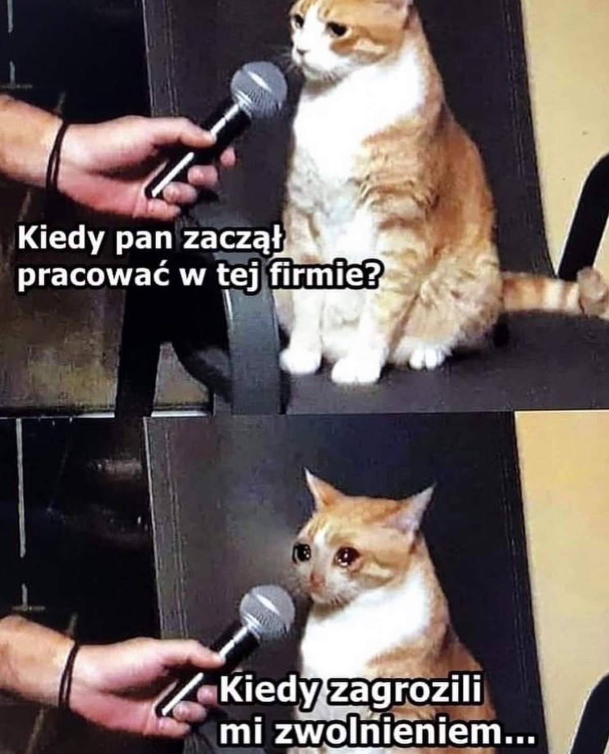 36a388e7-9d0c-4583-a4d0-1418b29a1e29