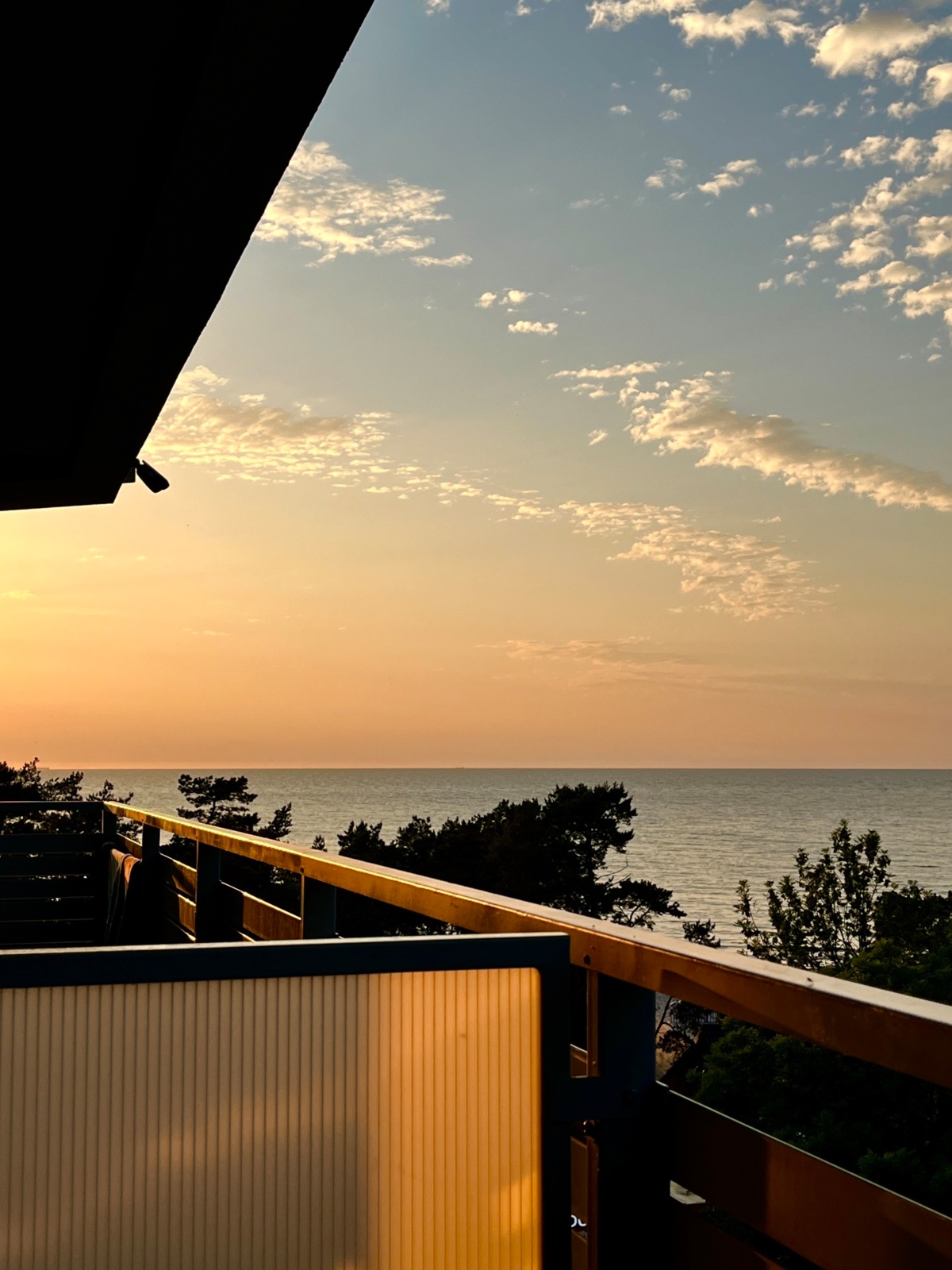 63b85051-dfe8-42e6-854b-0c4663d5b229