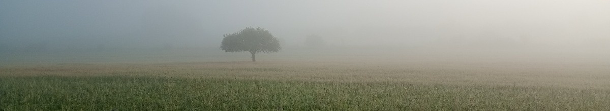 8b91c9f4-d333-4b7e-b8ea-d9cd418c892b