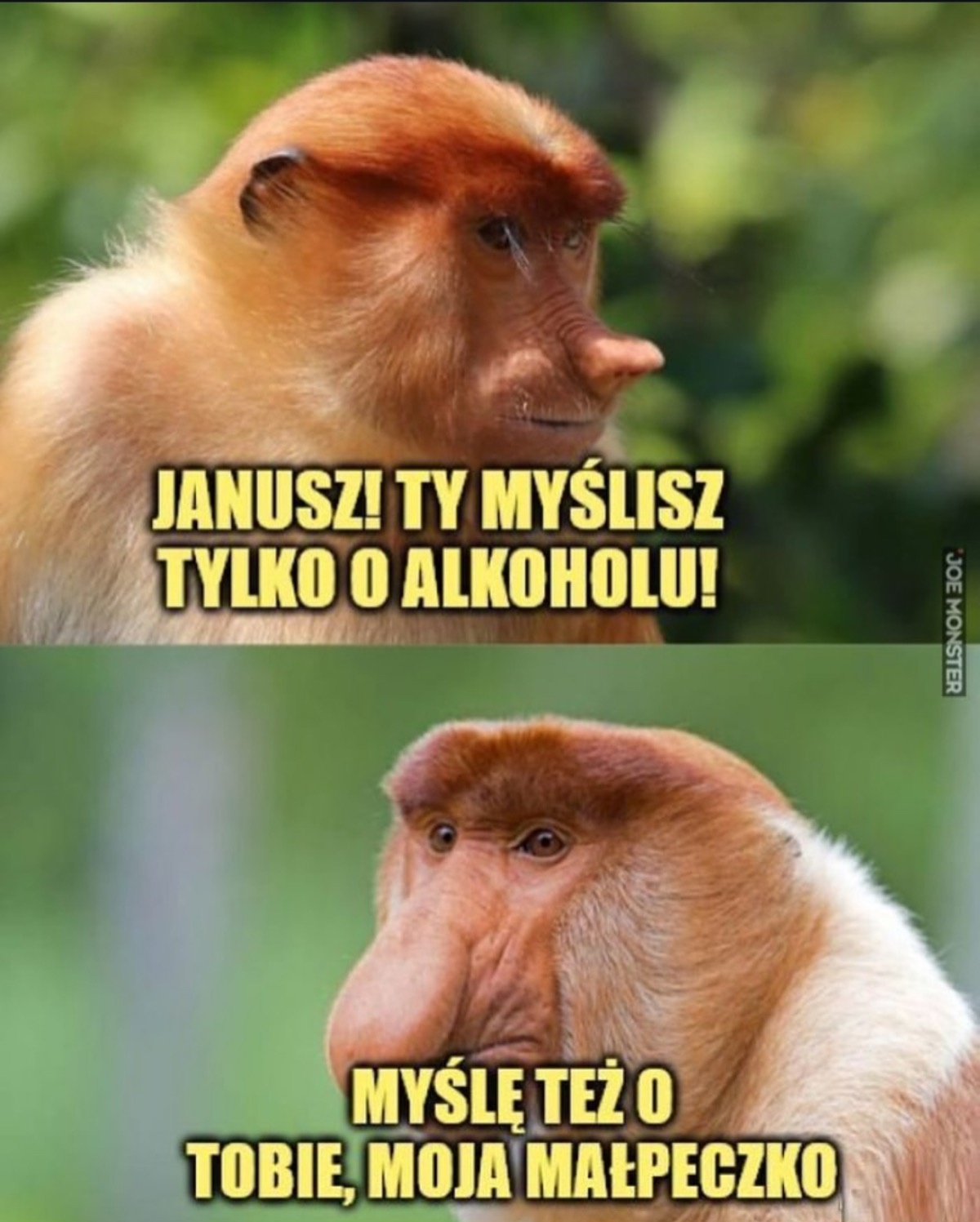 5213925e-9b7c-4b97-9fae-8e5f01e2e498