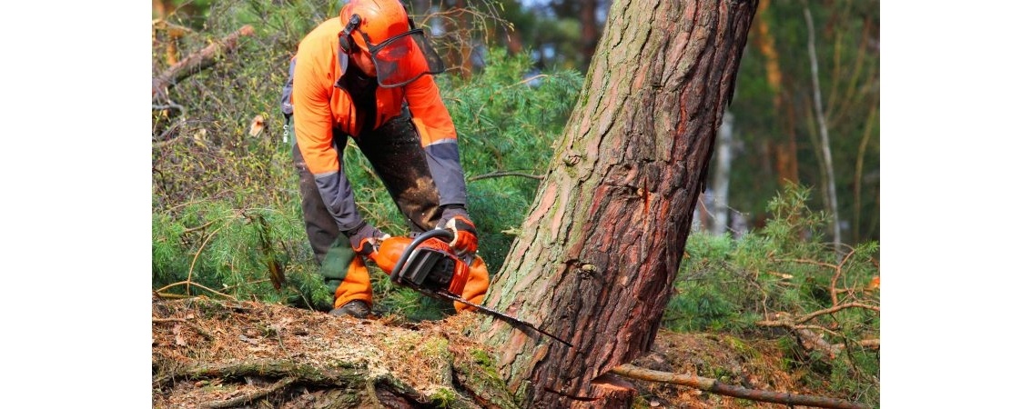 Presja przemysłu zwycięża: Unia odkłada wprowadzenie zakazu - EURACTIV.pl